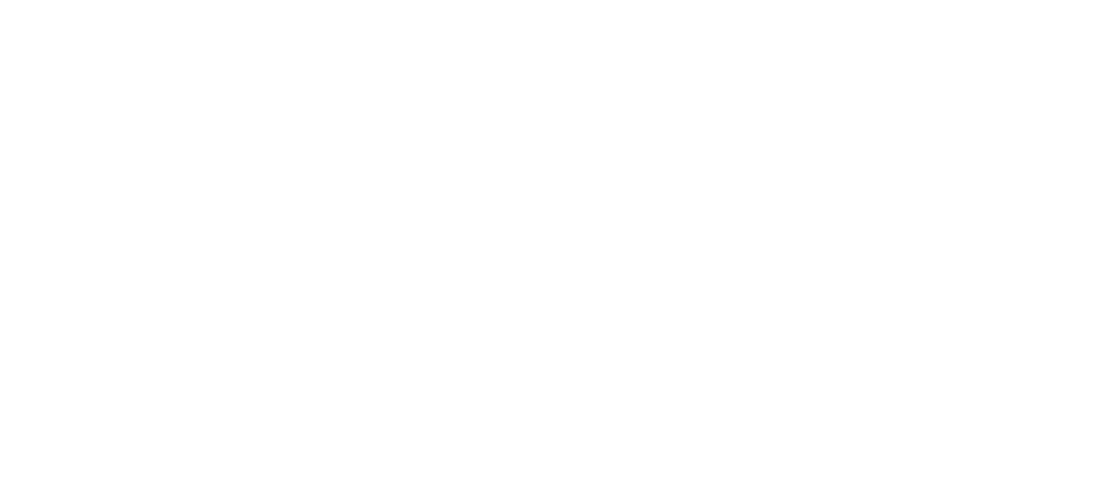 LogotipoPauloEsteves-negativo.png